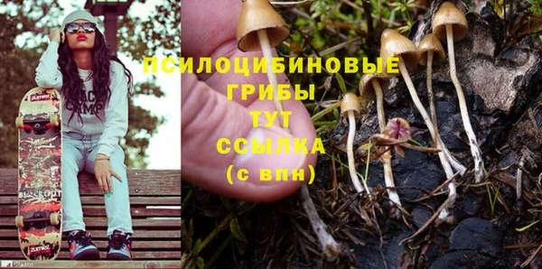 гидропоника Сатка