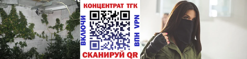 ТГК Wax  Сурск 