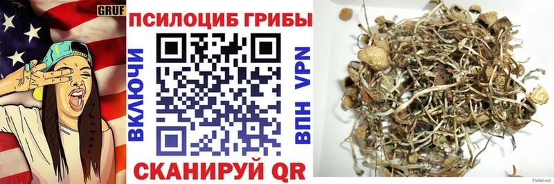 ОМГ ОМГ маркетплейс  Сурск  Псилоцибиновые грибы мицелий 